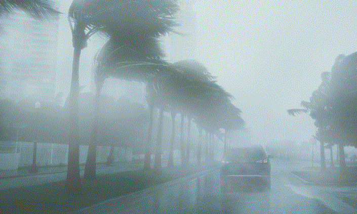 Severe storm scene with strong winds bending palm trees and heavy rain obscuring visibility. A car navigates the wet street, highlighting the harsh weather conditions.