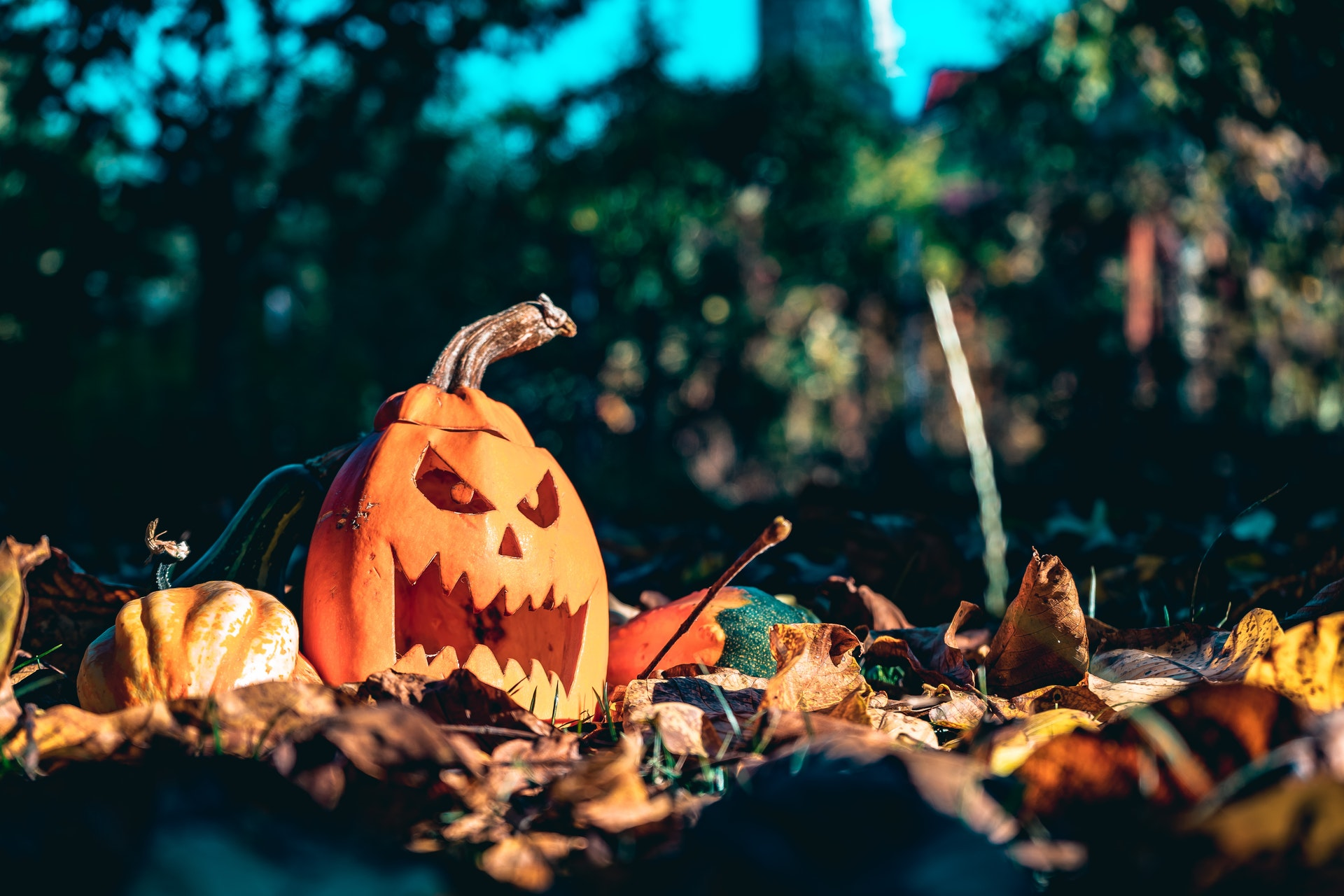 Scared October 3 tax moves to make October less scary - Don't Mess With Taxes